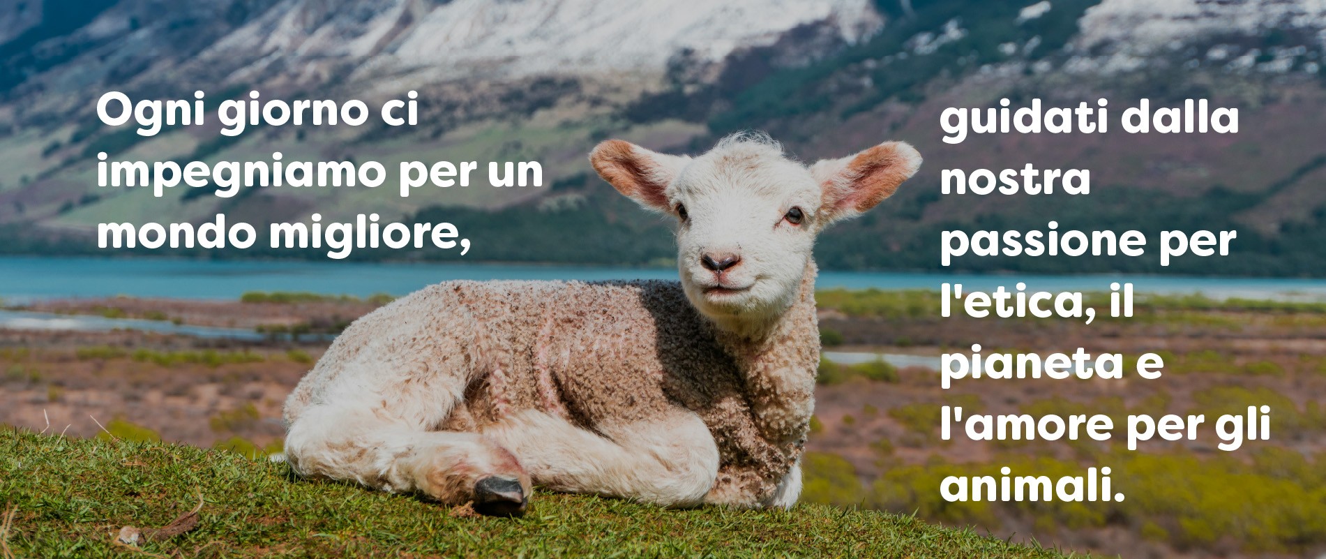 Gastronomia vegetale